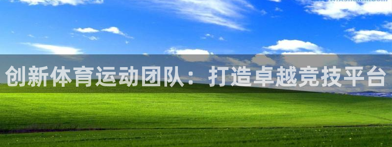 vsport体育