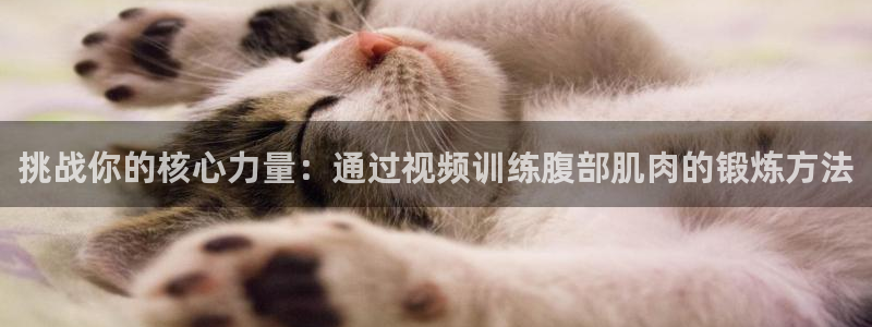vsport体育在线官网