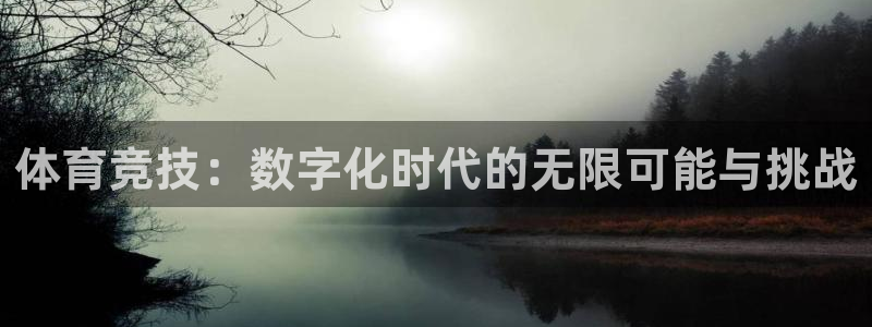 vsport体育在线官网