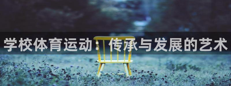 vsport体育在线官网：学校体育运动：传承与发展的艺术