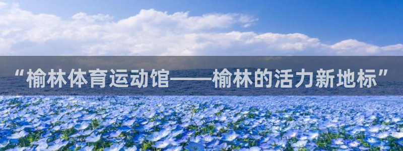 vsport体育：“榆林体育运动馆——榆林的活力新地标”