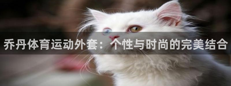 vsport体育在线官网