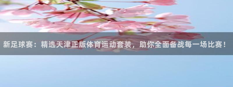 vsport体育