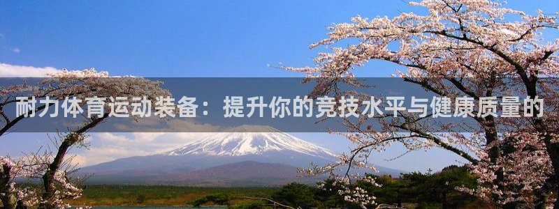 vsport体育在线官网：耐力体育运动装备：提升你的竞技水平与健康质量的