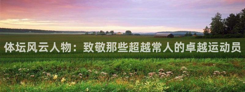 vsport体育：体坛风云人物：致敬那些超越常人的卓越运动员