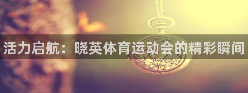 vsport体育在线官网：活力启航：晓英体育运动会的精彩瞬间